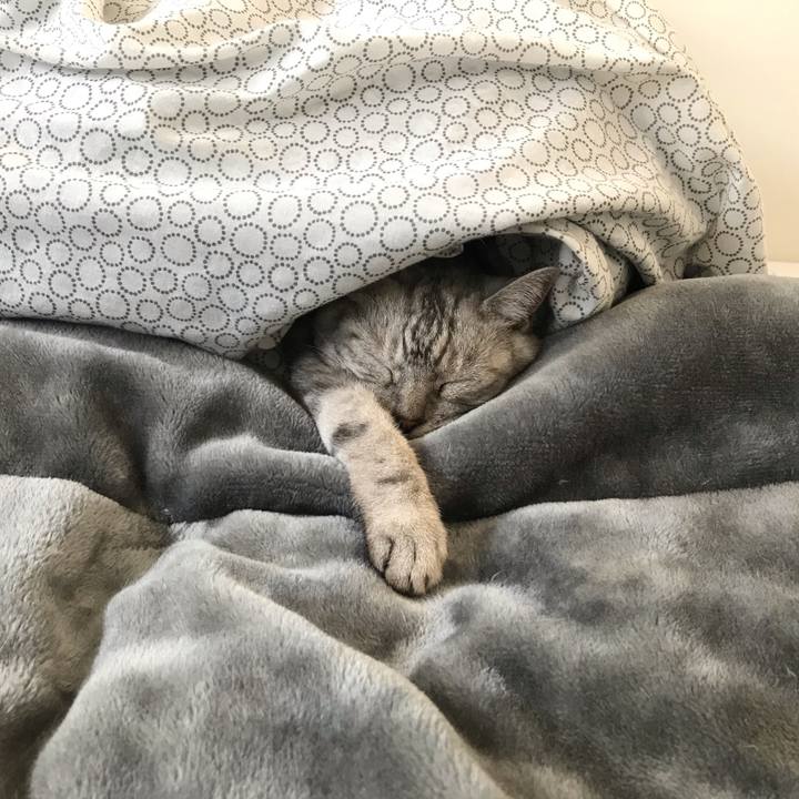 493d80b5 a7b1 4517 9fbb 744892e0ea97 1618750853040