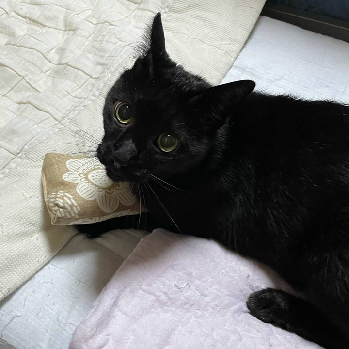 493da434 7bcd 4987 bec6 399c6124d223 1626401038144