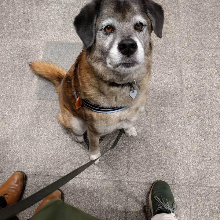 493db2bd 6ad6 4e85 a366 cee94eab6880 1520334487136