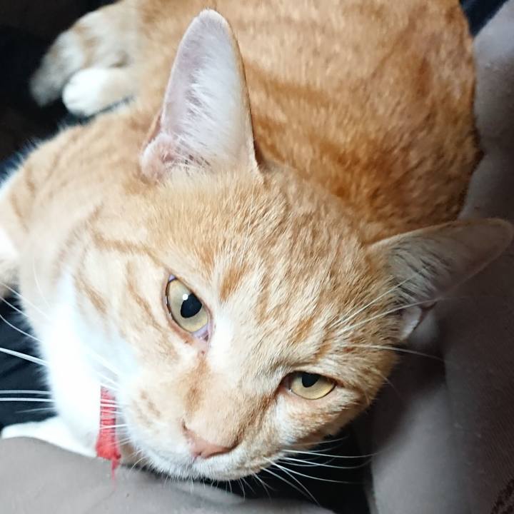 493dbc3f a1b5 4594 9d18 0cd0593b2a16 1574465921335