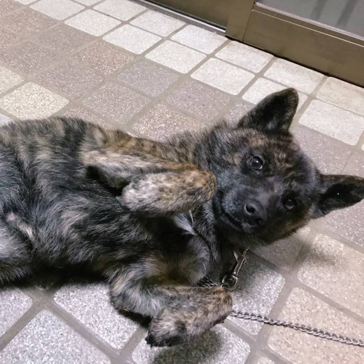 493dc660 e708 426a 9f43 9a632218a6af 1513508839711