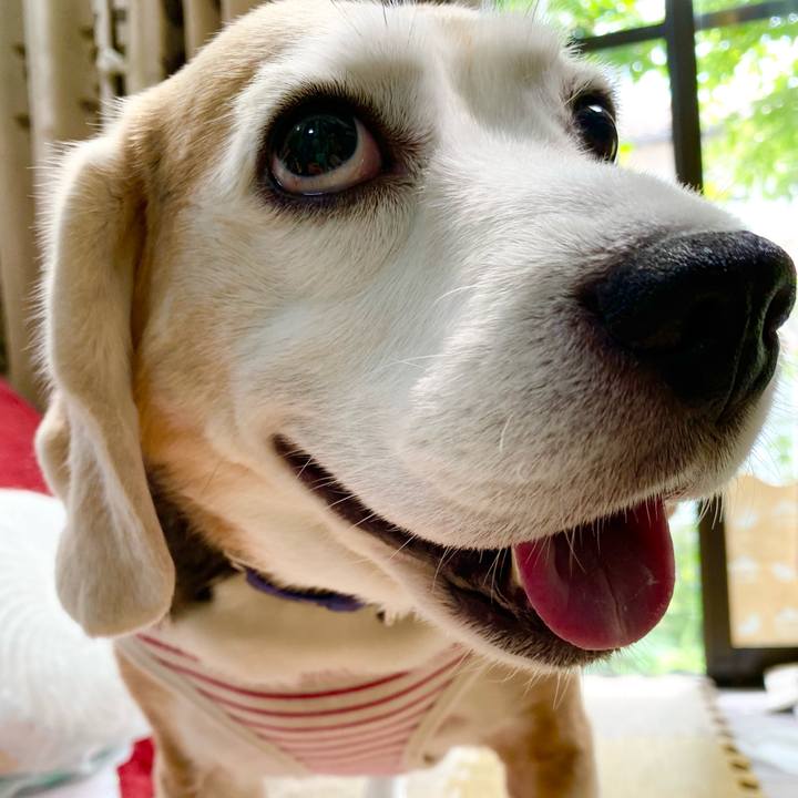 493e23ea d587 4707 8fc4 41663d062c7c 1624246589275