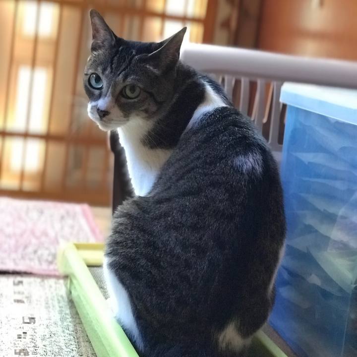 493e7816 8711 4f34 abab 99077ac9436b 1534206759091