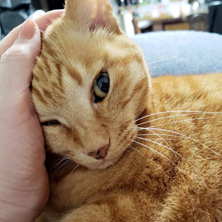 493e9b83 4d71 4ad4 9ef5 a28304442555 1716207093968