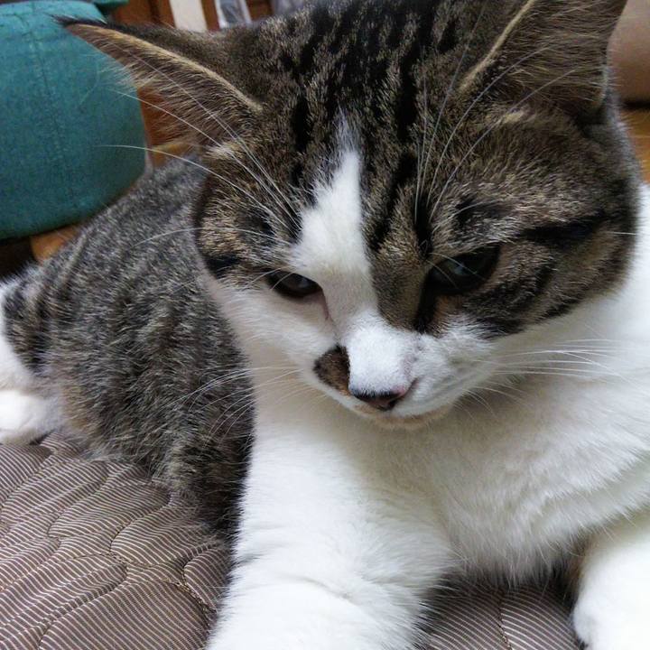 493ecb1b 7abf 4fed 80bc 364923bd7eb6 1623491748244