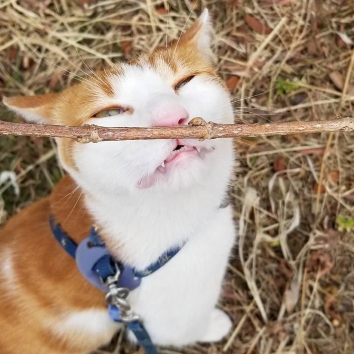 493efb46 c98a 4e26 886b 7a1747befe89 1519451589021