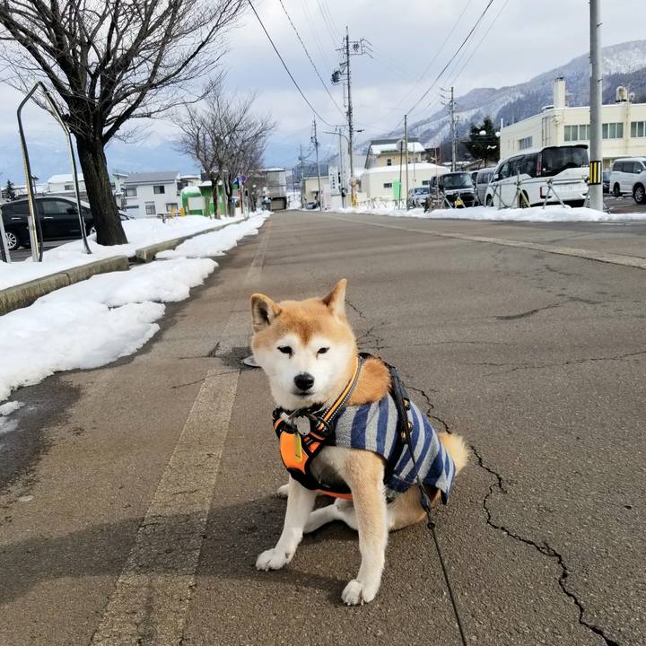 493f3331 255d 4e46 95c6 b1070d659ca0 1613018731181