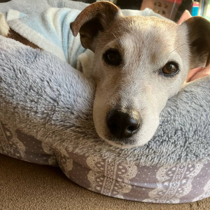 493f3ba2 b918 454c b243 9a0462e81a7e 1768263571955