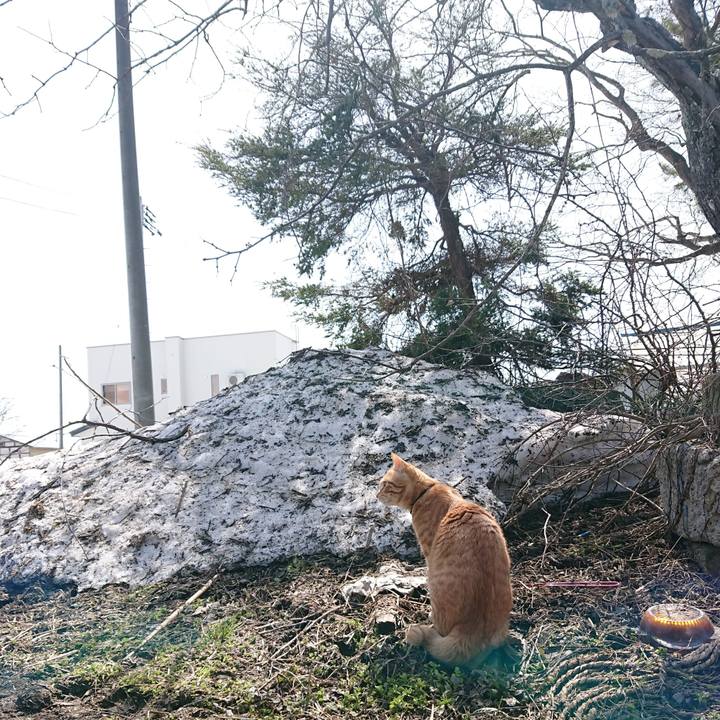 493f6824 12a6 4fa6 9cf8 31ea32bf9fb8 1648608546938