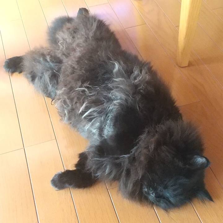 493f69f0 af6b 43ce 87d7 1f95fb81c99f 1692683551298