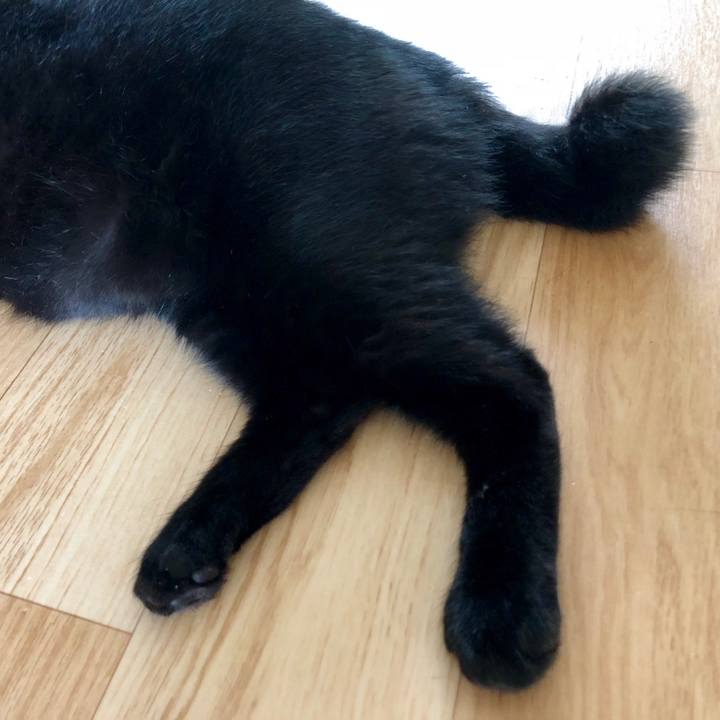 493f7dd4 aeec 44ec bba3 06c314488c08 1533960968782