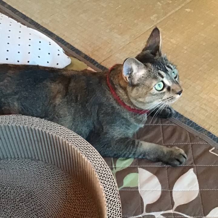 493f8a25 b606 4423 8a0d 79c2f21ee4f6 1601173590724