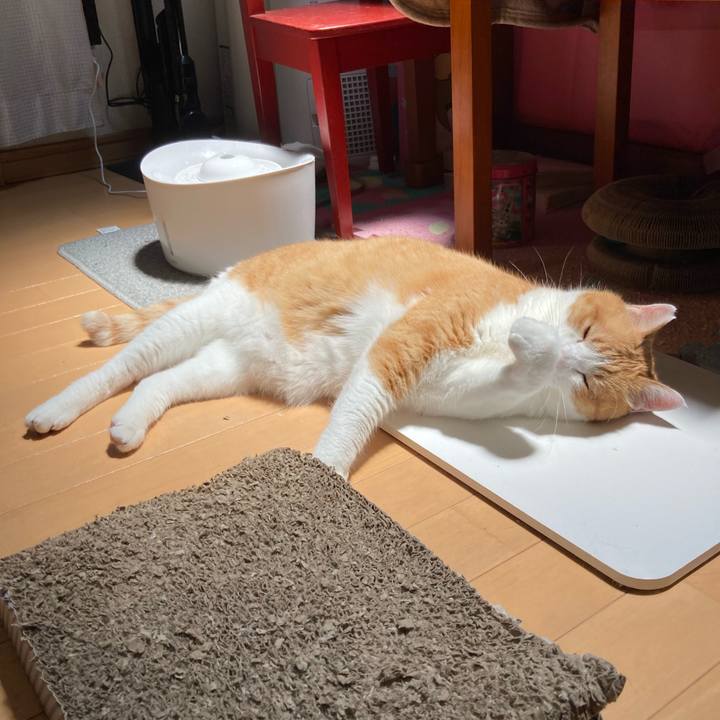 493fb8cd 0cbe 4394 ad19 3ead200e8524 1758526104283