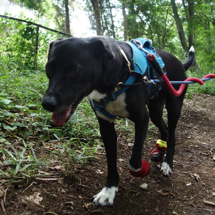 493fef17 b5c3 439c 82c0 6f035abacde6 1623974413413