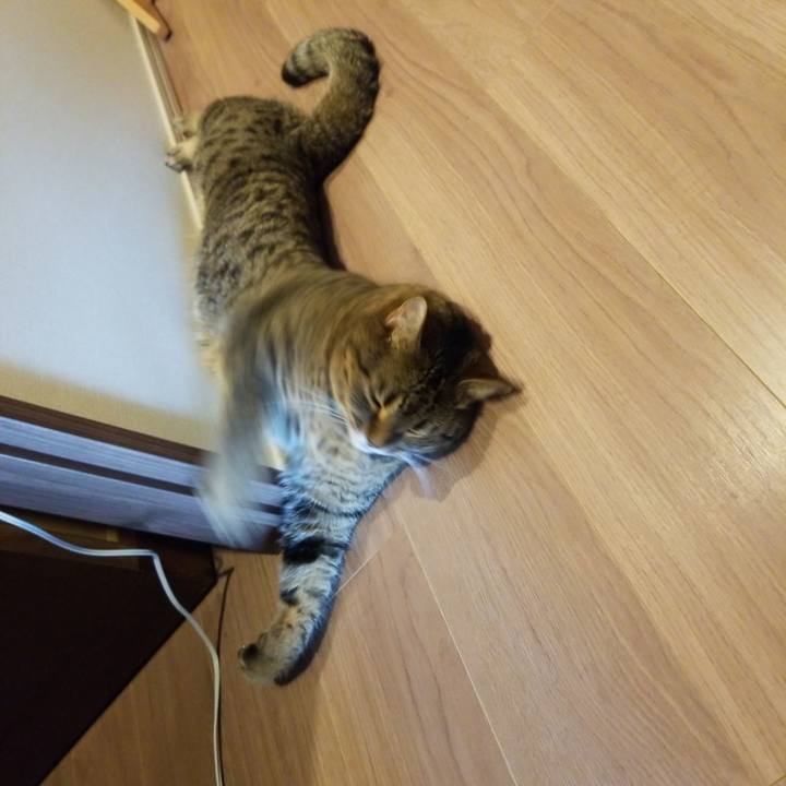 493ff96c 8ec9 4cf5 b1f8 c67a05bfe6d9 1565752244833