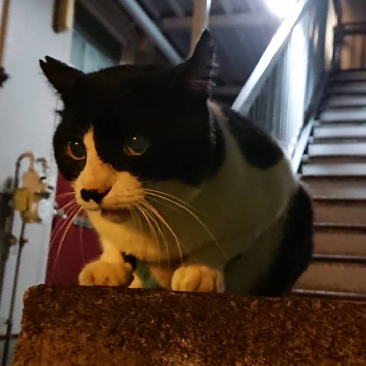 494021ec 920f 4e3b 8d2e eb5a22e6fb48 1540897090054