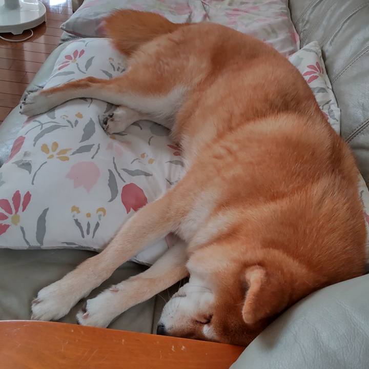 49404101 1937 48db 836b fc80c7c176f8 1747623497449