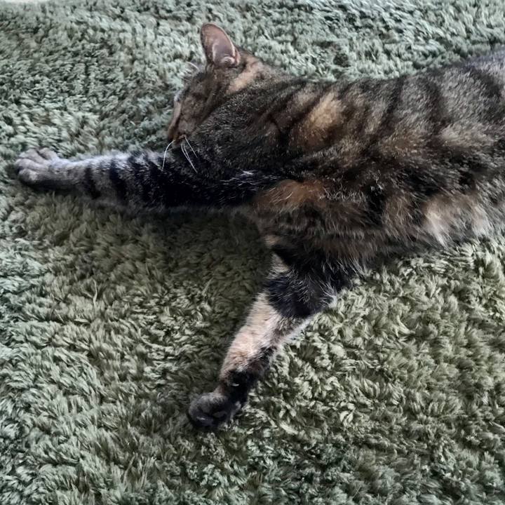 494052bd 04d8 4085 a9eb 11d133e305cd 1558925438931