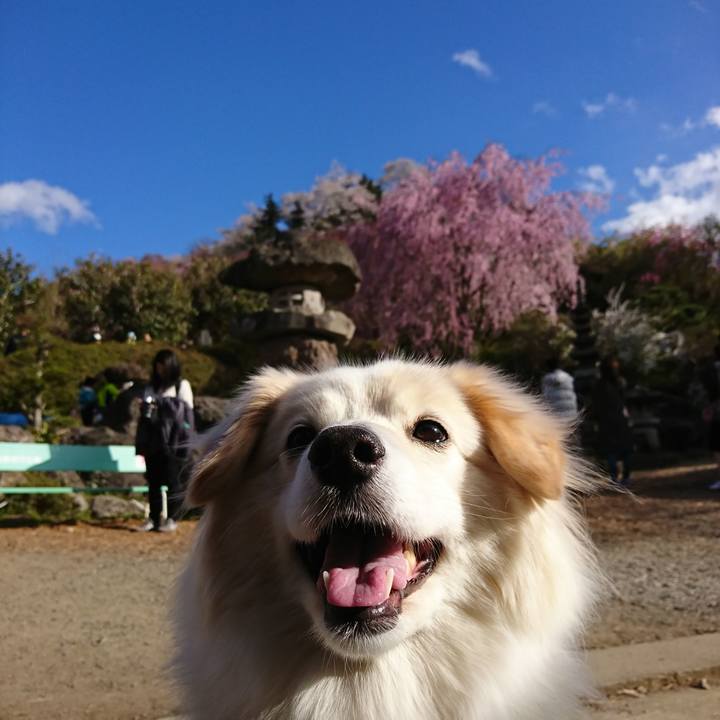 49405936 2653 4614 8cf5 2cafd371a08a 1523171578763