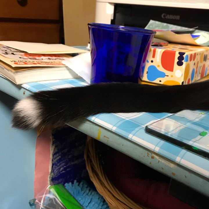 4940aebc 86b3 47f2 b832 5d7352985c45 1580744706053