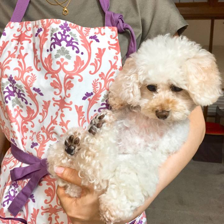 4940ba15 6b48 4d83 be3b 28eab5c4186e 1534473937709