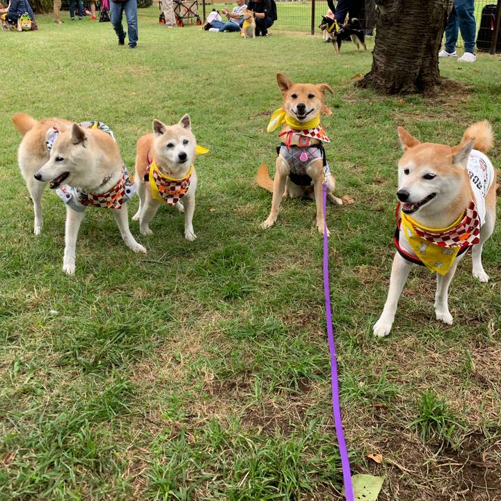 4940dc9d 6948 4c95 a2f2 730b42769e10 1569681204440