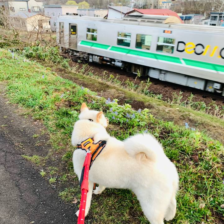 4940efe1 75cb 4e82 89b9 0f2e0347e31b 1650664729995