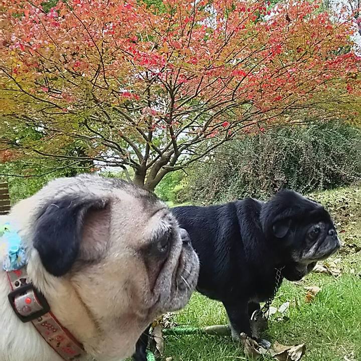 4940f9b6 8eea 4502 a0bd 2e2d02e5dcc9 1538897421128