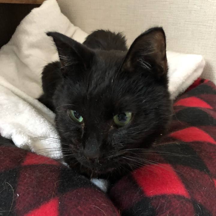 4940ffde 1a52 412d 8c39 2a3a60d79c64 1557742930939