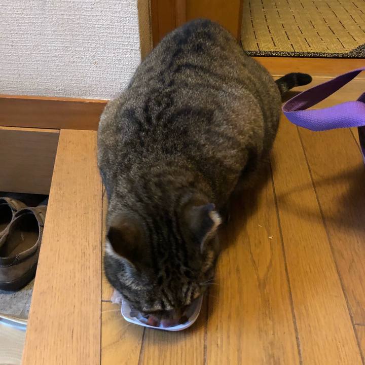 49410ad6 8ba5 4f0b b9d4 860835caa268 1517472806394