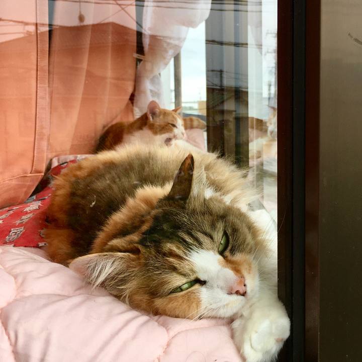 49412098 4f1e 4d91 9066 4ea33458c70c 1592643740098