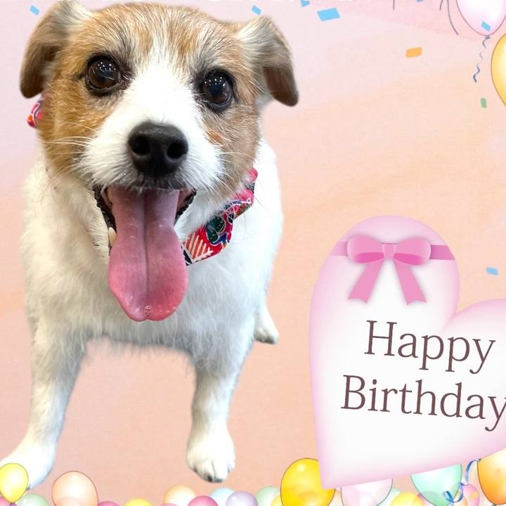 49415d7a ce65 4808 b325 e52fc2d9b4e5 1762048191263