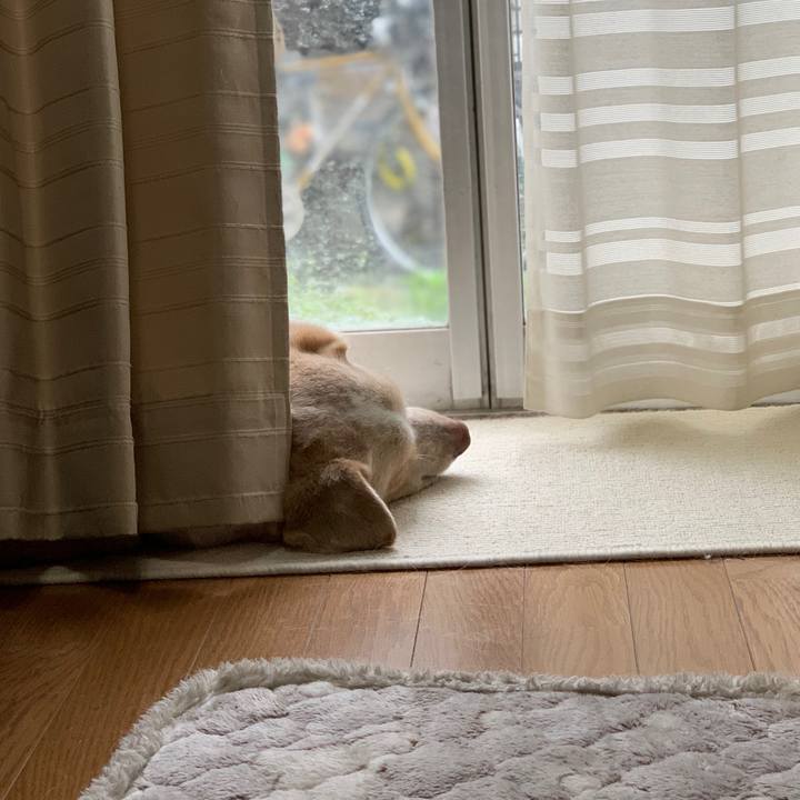 494161d1 e697 4f5a 9705 ae9795614d7b 1556685022850