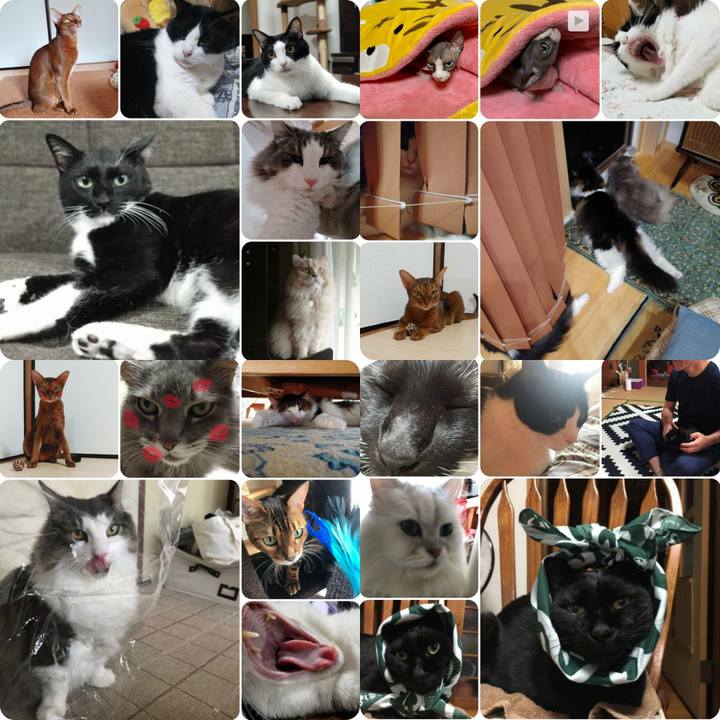 494168c8 1dcb 4ff4 aae1 bbdb52bcb302 1570440540076