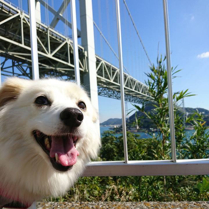 494168ca 003b 4589 ab71 27346bc3df8e 1541300908807