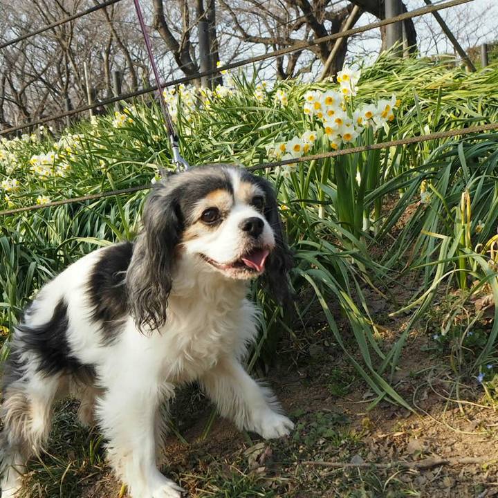 49419689 456d 4e3e 9a0b 08ca894d01e1 1519456035495