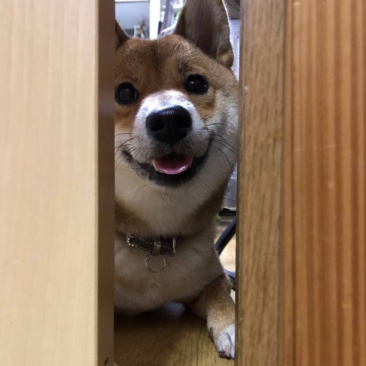 494196c1 7c07 4d8c b01b 71953cce9734 1539640524839