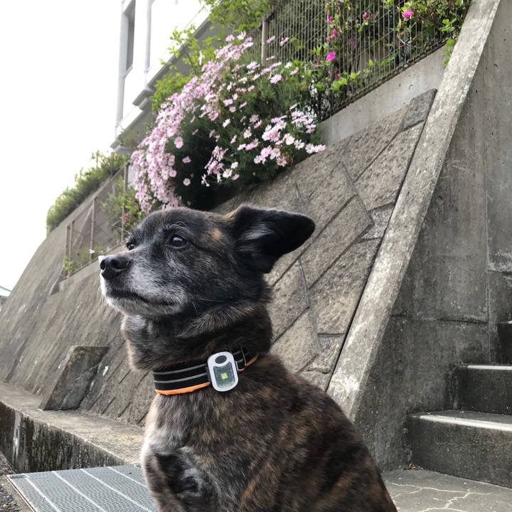 4941ca05 7c8c 44a5 a9ea d5ca53f538d5 1617017931051