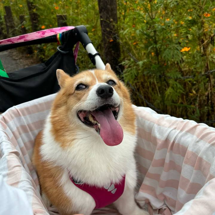 4941d402 f1b3 4752 9b01 4b1483b1249a 1727927791095