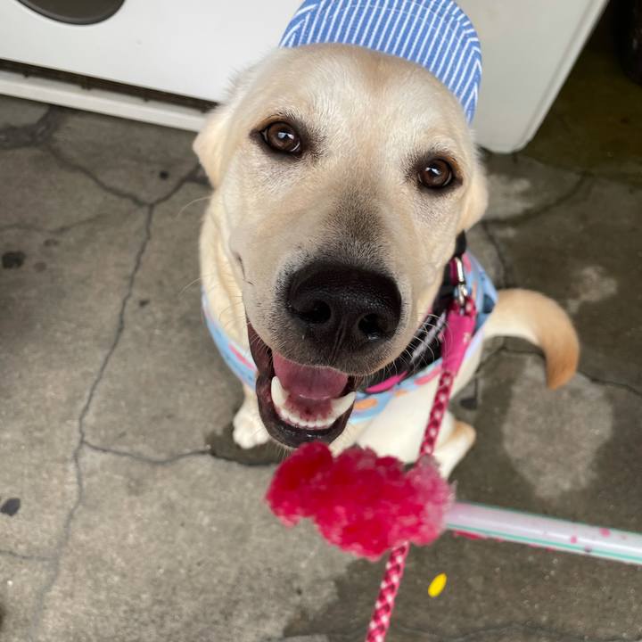 4941ebb2 2ebd 4034 a750 5a185d58cf6d 1627531615318