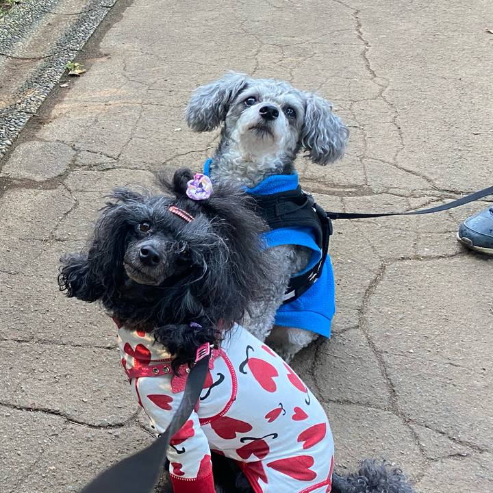 4941f3a9 5beb 4fbb 806a da475d94918f 1666324032479