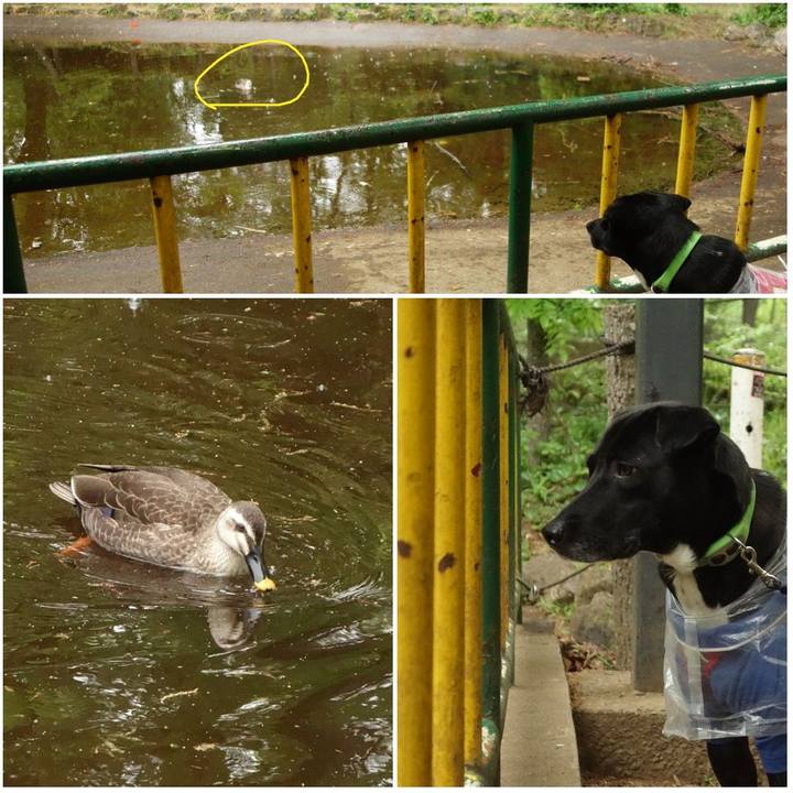 4941f7a1 1864 4a94 b89f d39bec3cff32 1618360913857