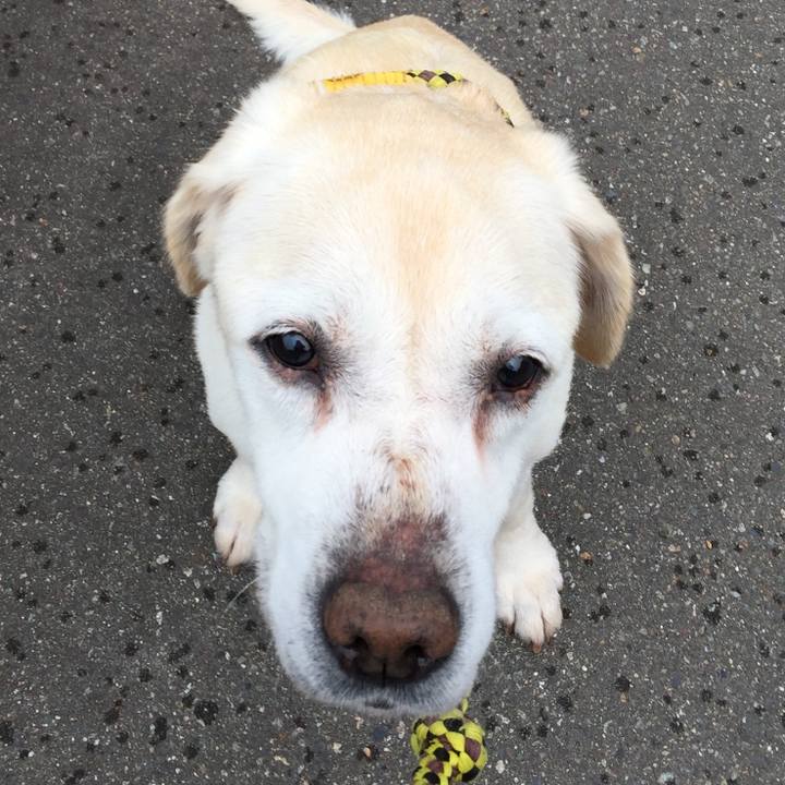 49423a40 46ec 4b06 9ab3 d960eba342ac 1526171004353