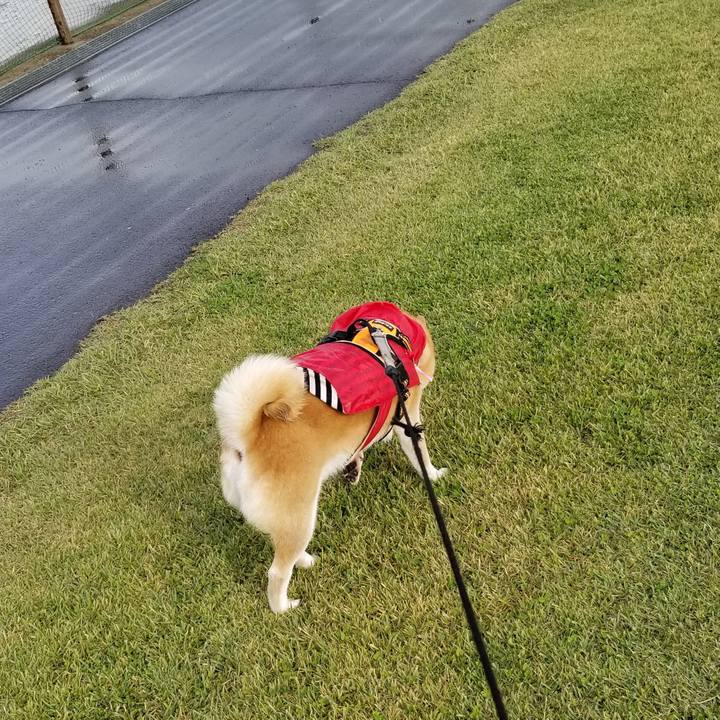 4942ae5b 5cfe 4d1a 9eac 4b82565aff68 1634707534680