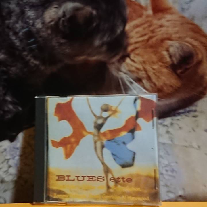 49431ae4 c5c7 4ad4 b1b4 39f91432cff4 1620907146399