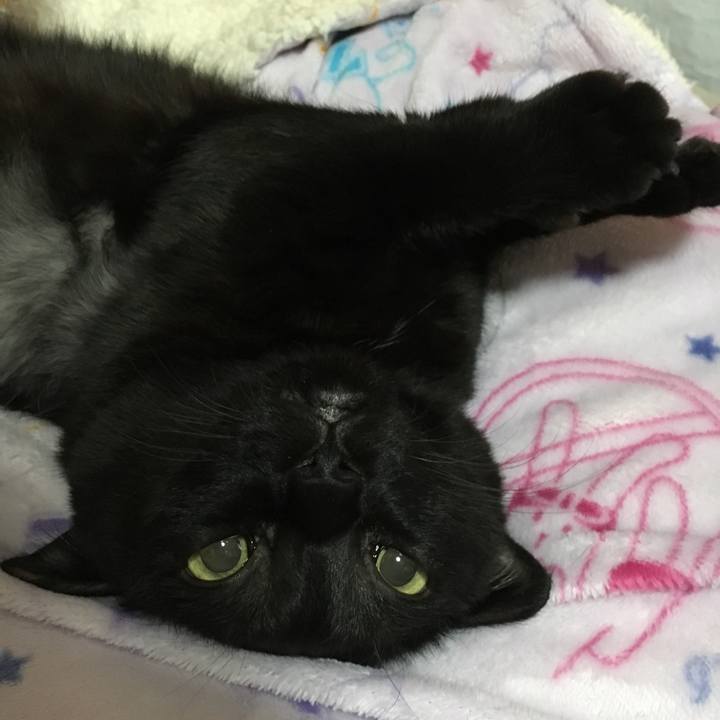 494327ff 3ded 4642 9d68 1812feec5bcc 1508453567544