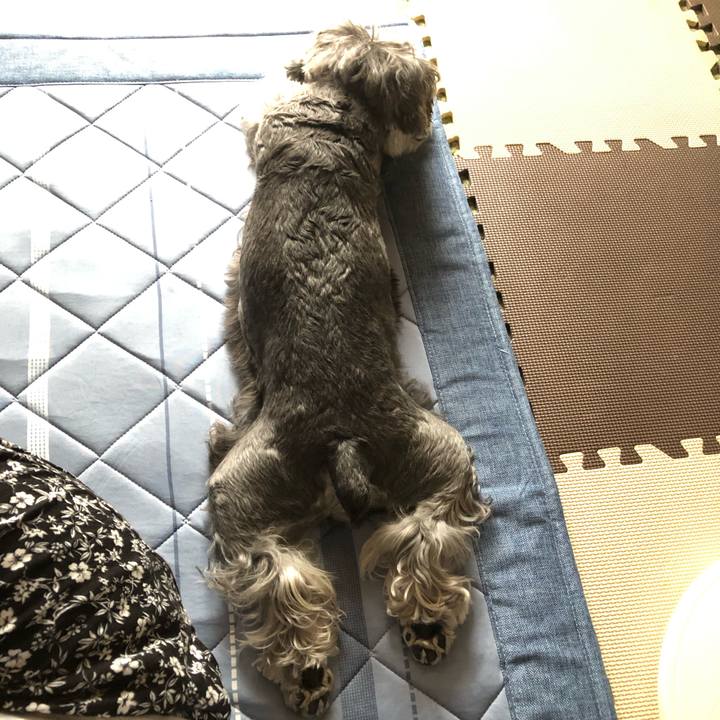 49432f6a 79d4 4d55 871e 291b18ef2270 1663548145368