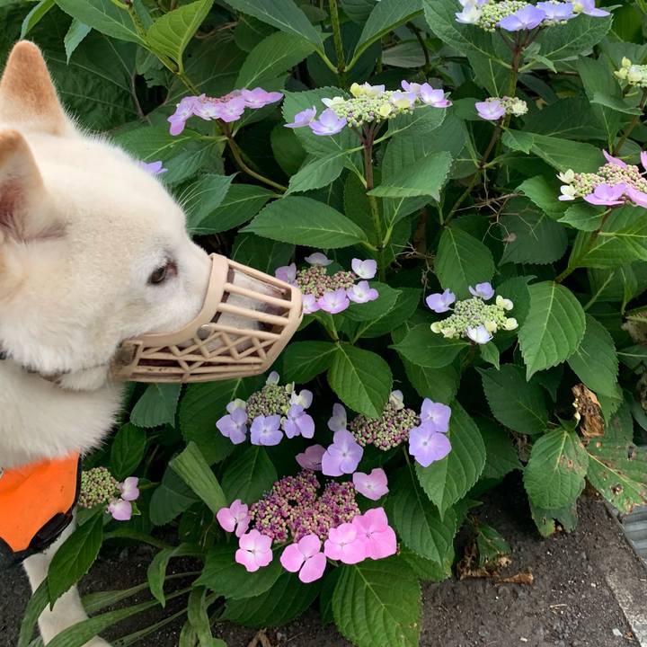 4943373d ab12 4428 a367 891734864acd 1626468313290