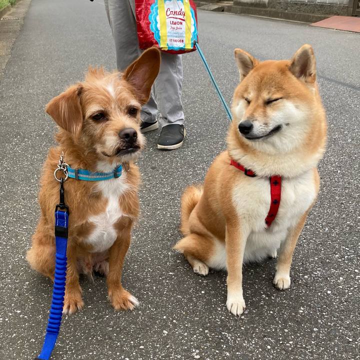 49435eea aaf8 4129 bc34 c60f1297aa65 1628809148861