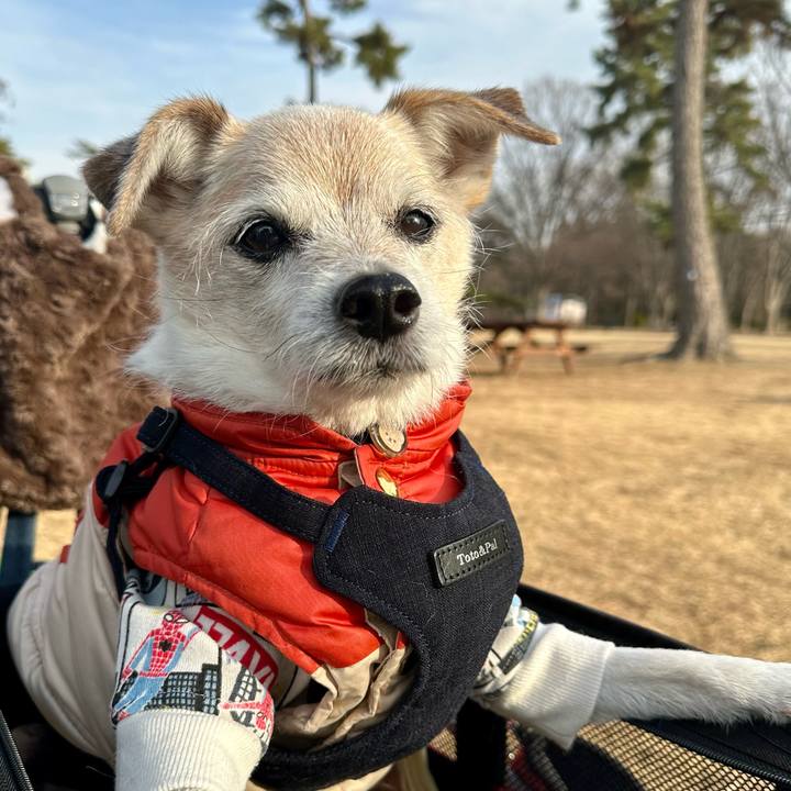 49436da1 6f83 4dbe 8ded 898affe3ae4a 1770280061591